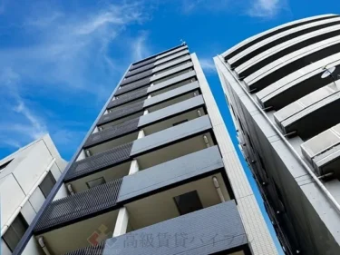 ディアレイシャス蒲田2