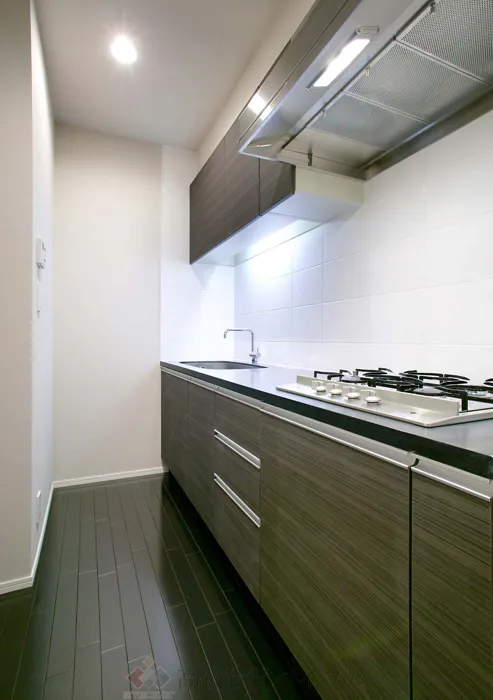 カスタリア雪谷 の画像11