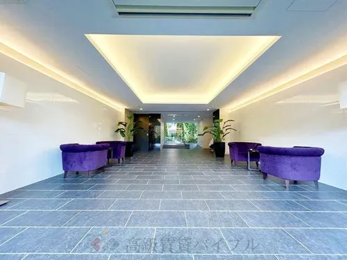 ヴェレーナ綾瀬 の画像6