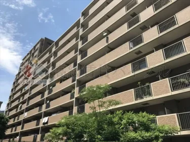 ブリリアントヨス