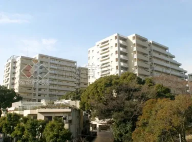 シティコート目黒