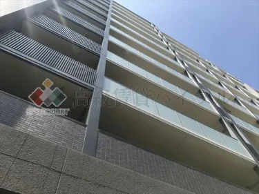 フレンシア菊川